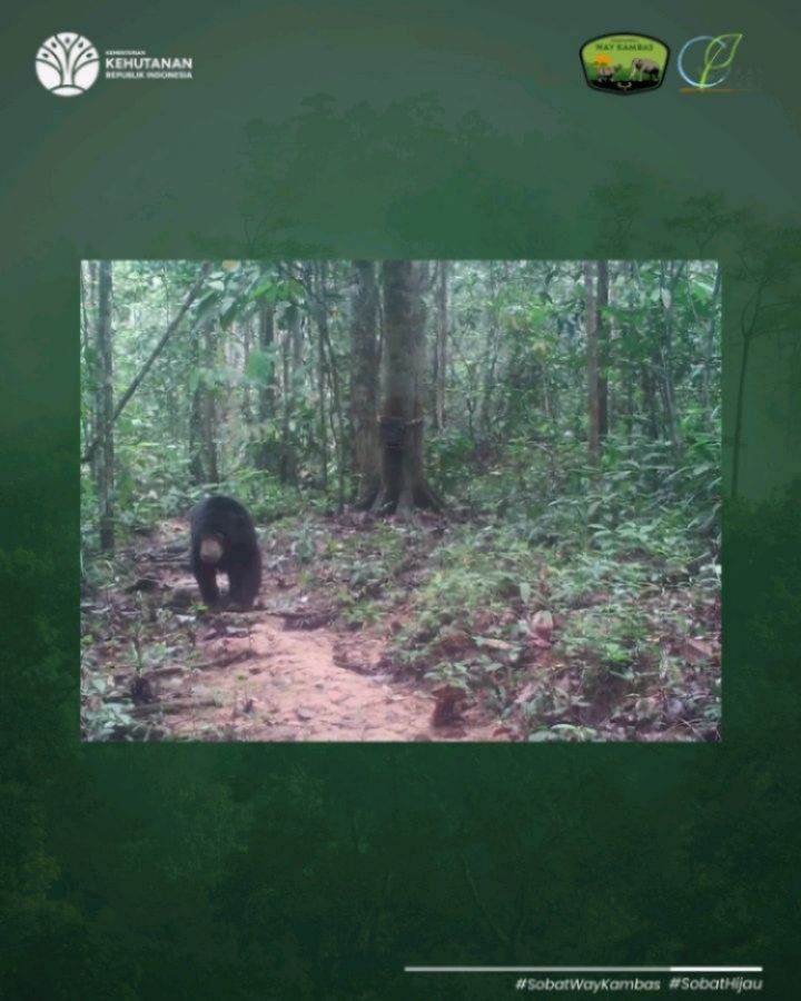 SaveClip.App_517101460_18391515244186934_5364442732292292806_n