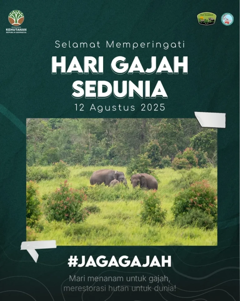 SaveClip.App_529877976_18395746660186934_6526868984653514172_n