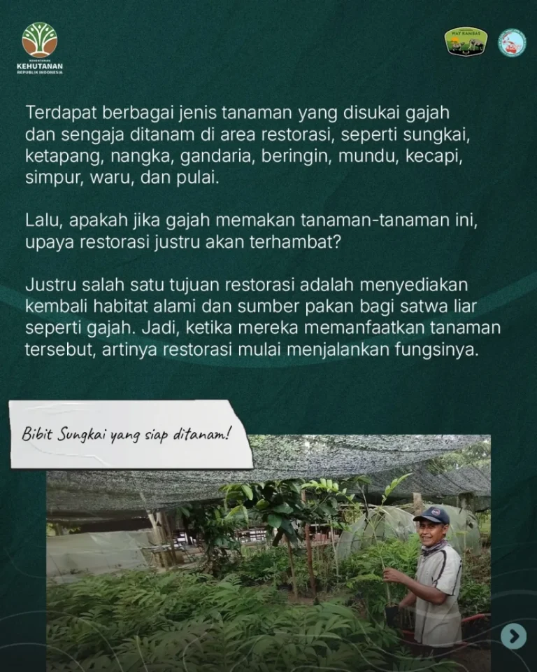 SaveClip.App_530082320_18395746642186934_8711504180874328086_n