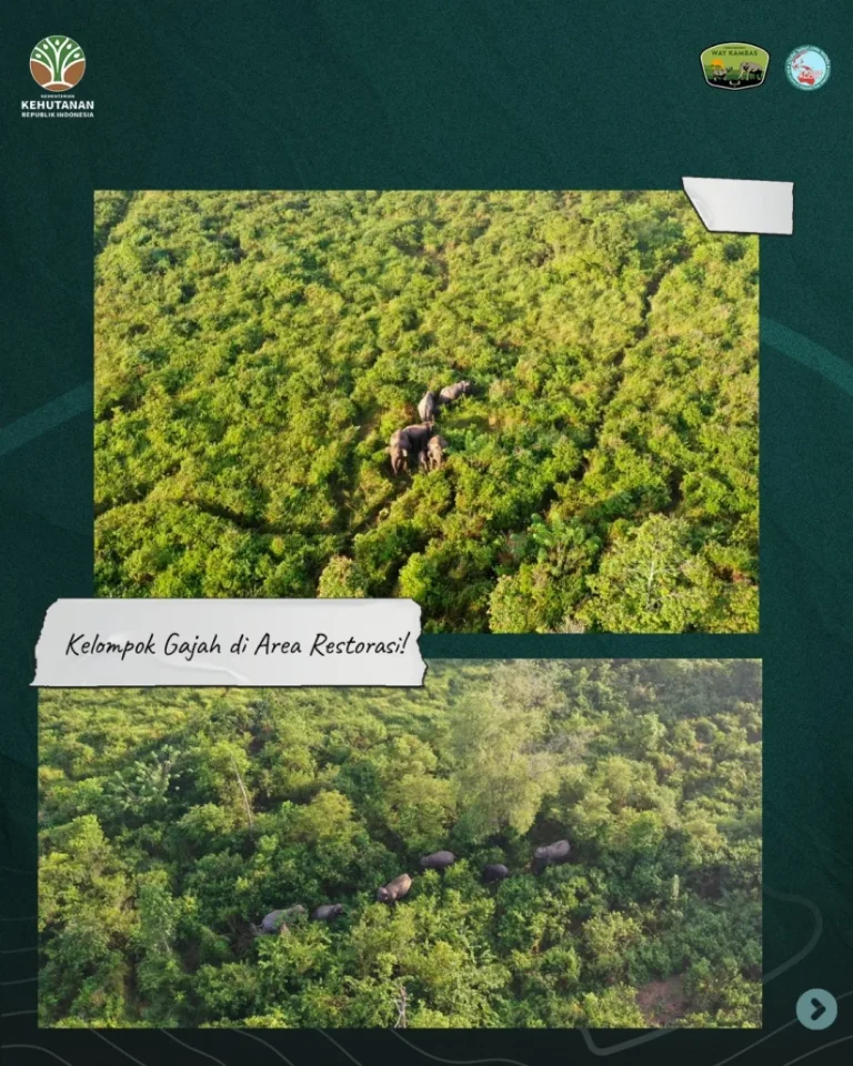 SaveClip.App_530470074_18395746651186934_7119410330933116451_n