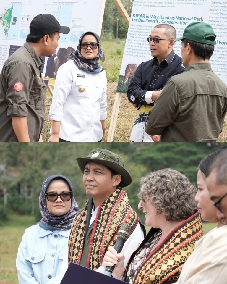 SaveClip.App_540629731_18396428311188234_4154327666955618005_n