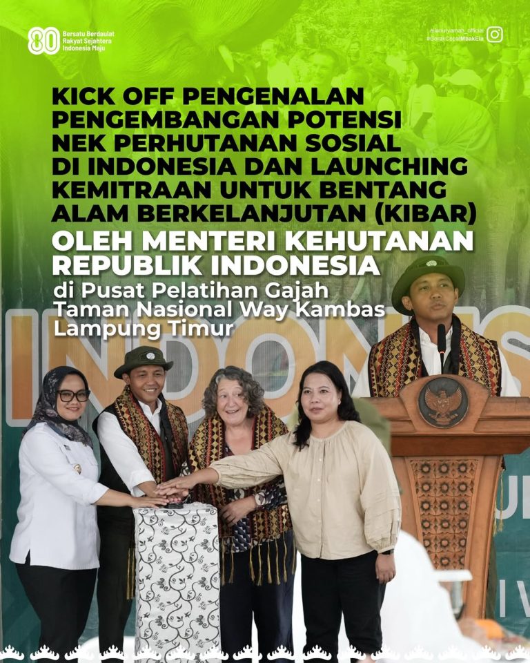 SaveClip.App_540675174_18396428293188234_3222418104515266599_n