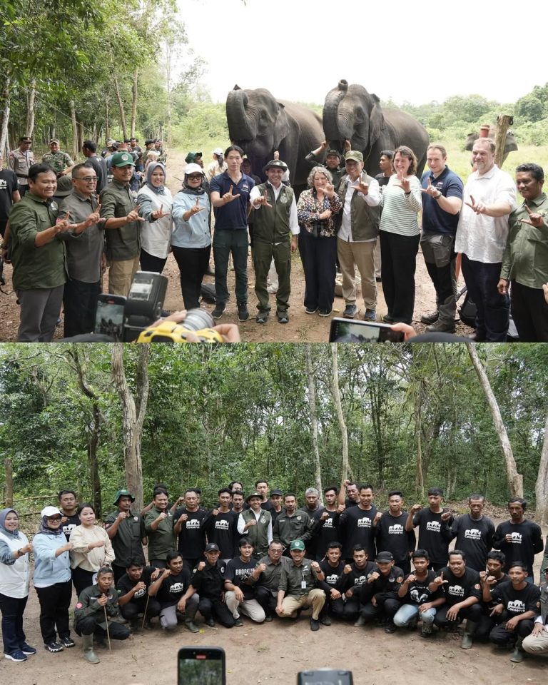 SaveClip.App_540682651_18396428329188234_5378688214151564738_n