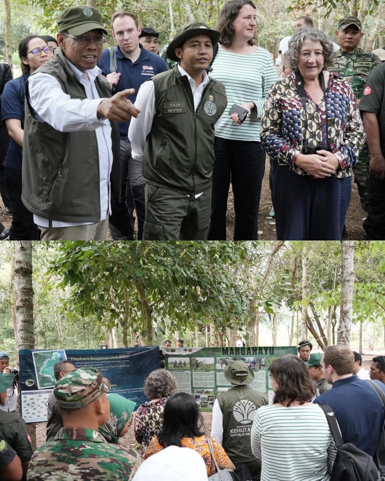 SaveClip.App_540777936_18396428320188234_8637291039605844455_n