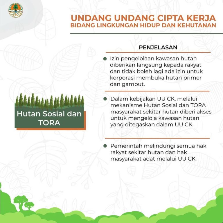 SaveClip.App_121338972_1230429787331598_3233797072110693697_n