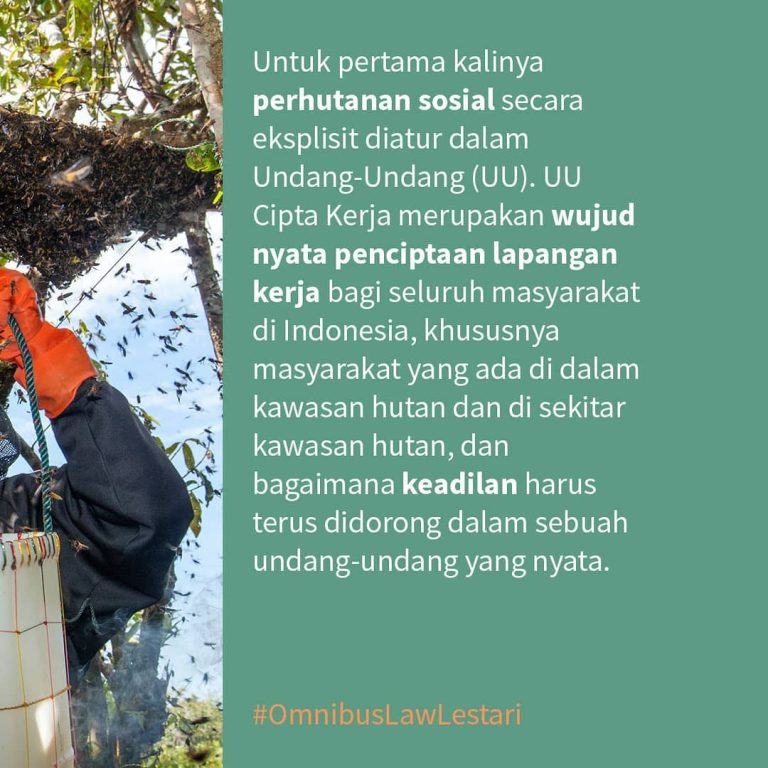 SaveClip.App_121365997_345681256875968_8536632602690092592_n