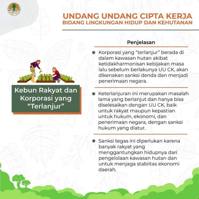 SaveClip.App_121422872_363039284840203_5758771680922324953_n