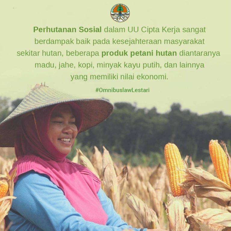 SaveClip.App_121543834_688258785143815_3409288322635879858_n