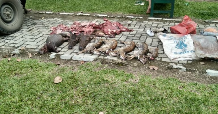 SaveClip.App_149882050_3740477312708773_480064817330244253_n