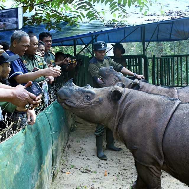 SaveClip.App_19955215_131890397405569_6471352264266088448_n