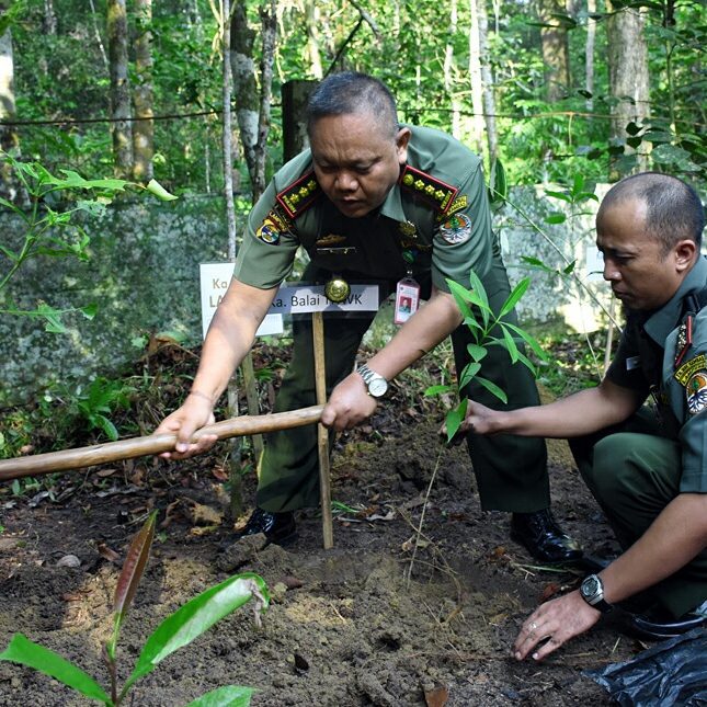 SaveClip.App_19985689_324715954636630_1217393172787757056_n