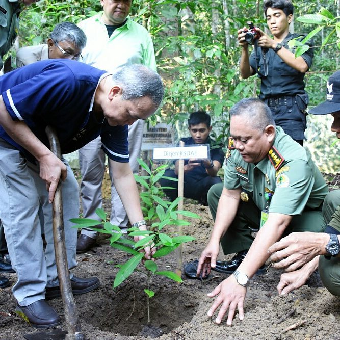 SaveClip.App_19986139_1373886872702557_7724133497966690304_n