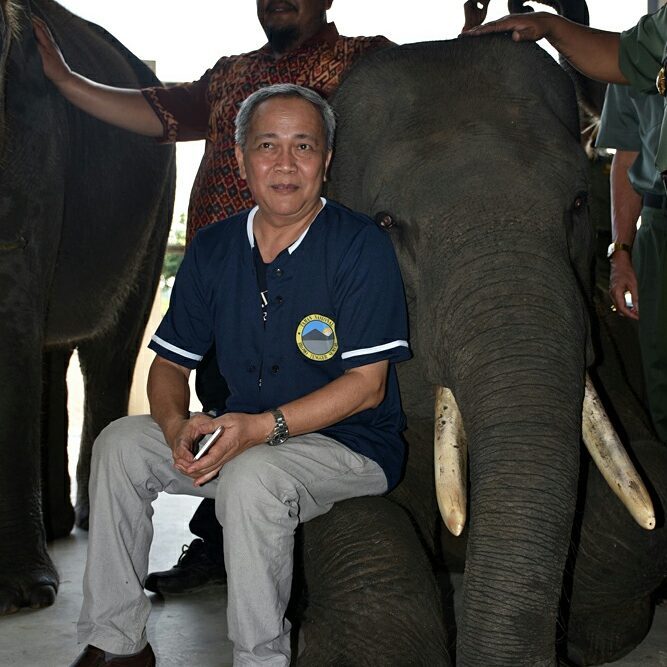 SaveClip.App_20065424_288755074931228_1914622585774014464_n