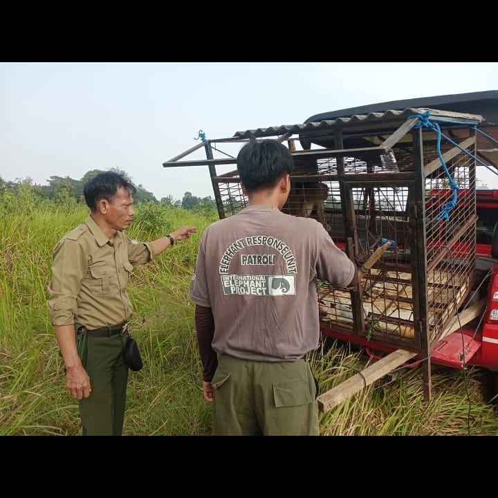 SaveClip.App_220124879_504252980663070_7115397896218437070_n