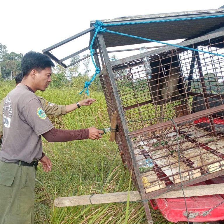 SaveClip.App_221691669_564774348238398_1066602242606492257_n