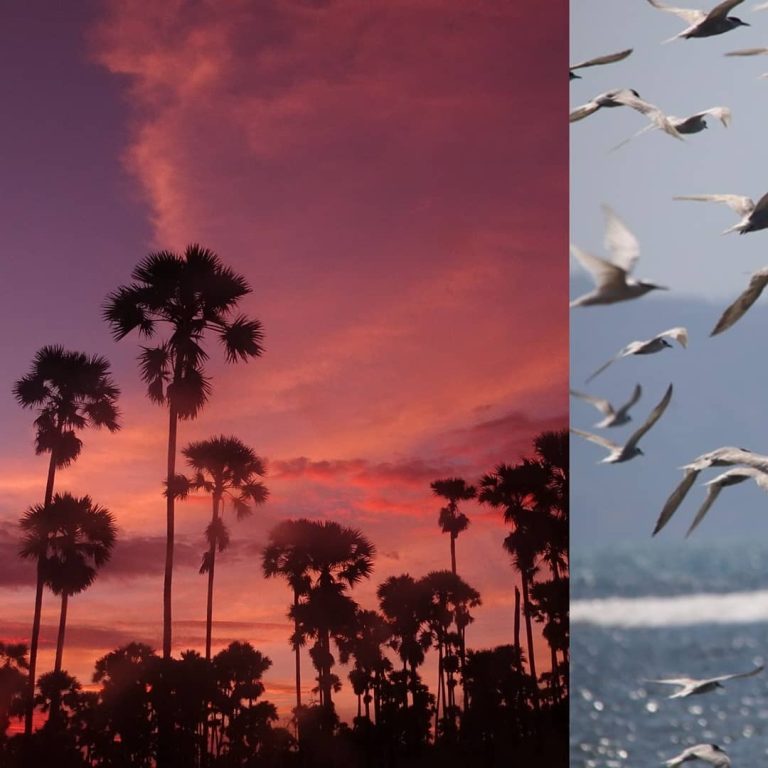 SaveClip.App_234042283_504037204009428_829034178074392886_n