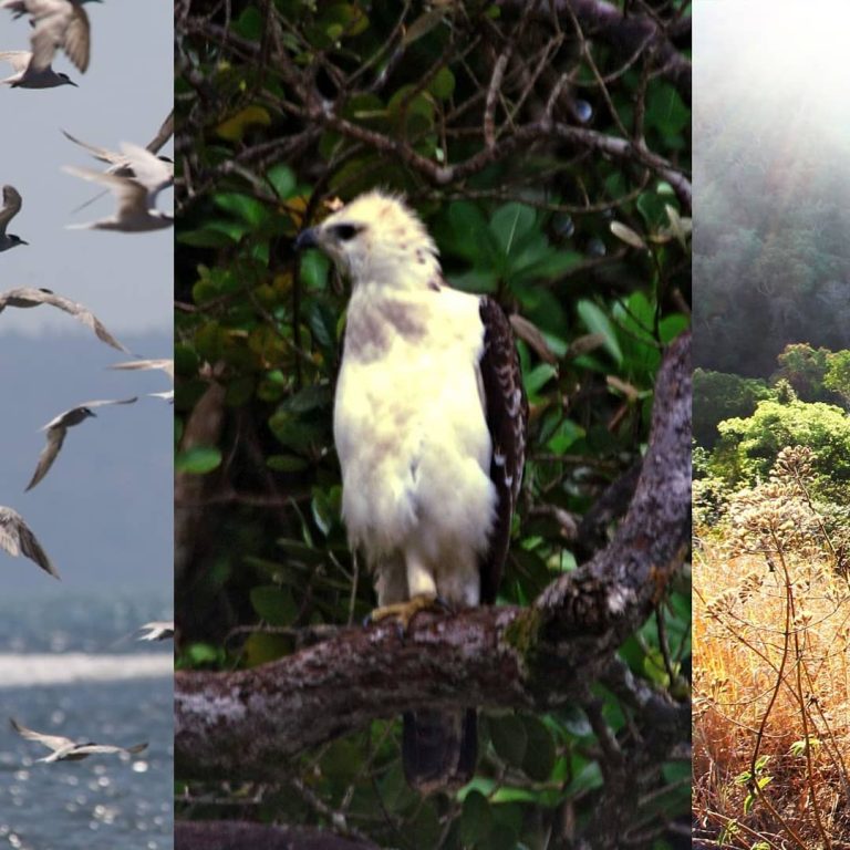 SaveClip.App_236102744_204651408292012_7508389656212896639_n