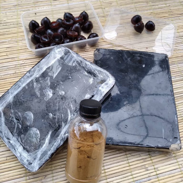 SaveClip.App_243017709_1262031514243147_2770633086422968766_n