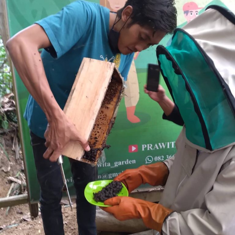 SaveClip.App_243052844_3061224387482606_7102182093955488807_n