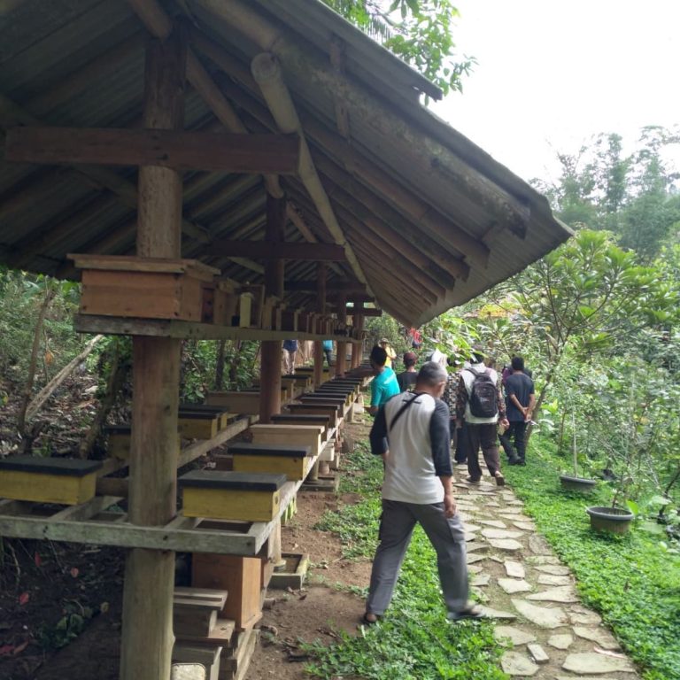 SaveClip.App_243216268_2594037400741940_6318299467763266634_n