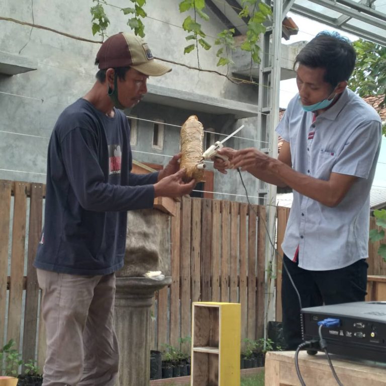 SaveClip.App_243540868_255236766523371_3603156651982157386_n