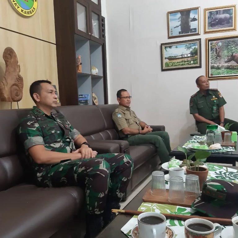 SaveClip.App_271547991_978752862993431_4255213644509096242_n