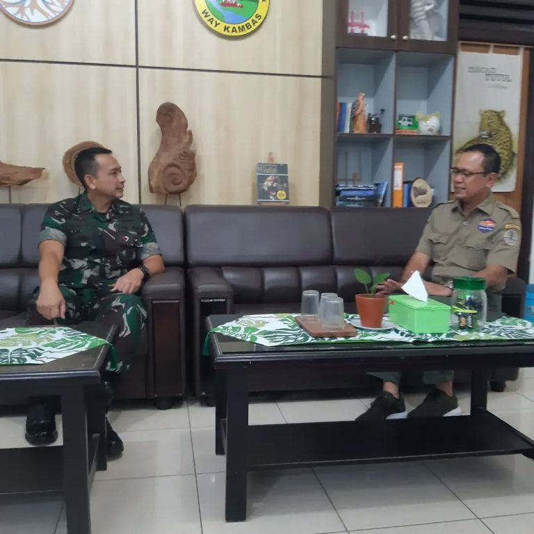 SaveClip.App_271549385_1830214783850195_4827742309089171432_n