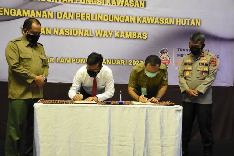 SaveClip.App_271810346_255637909948697_5152556300970299759_n