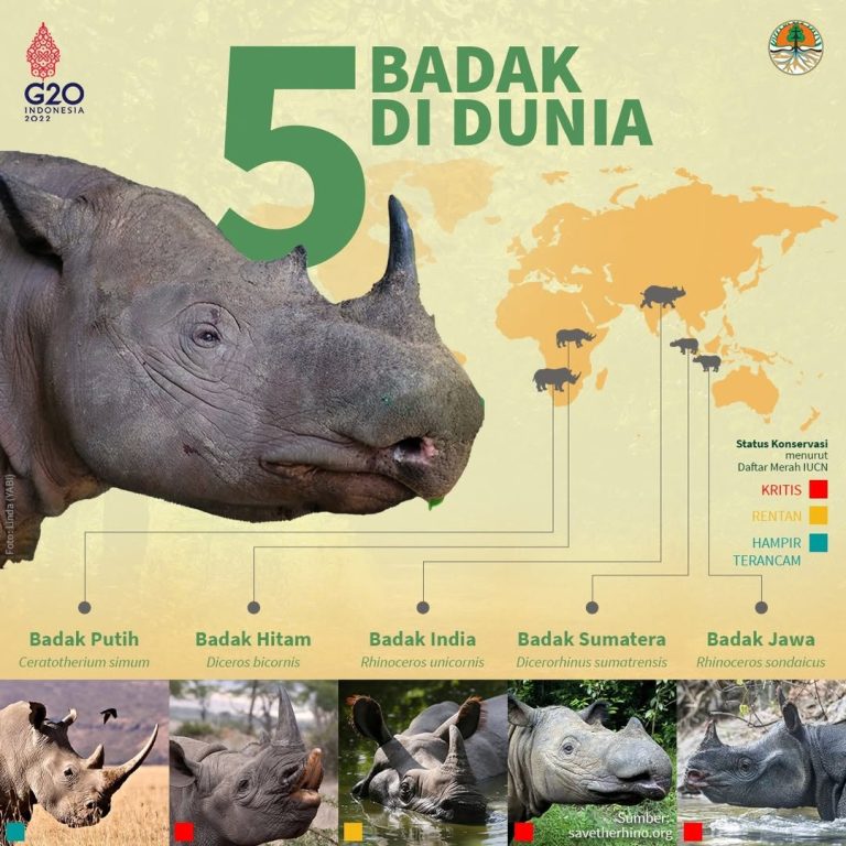 SaveClip.App_275906880_644958523245389_3862791133207504720_n