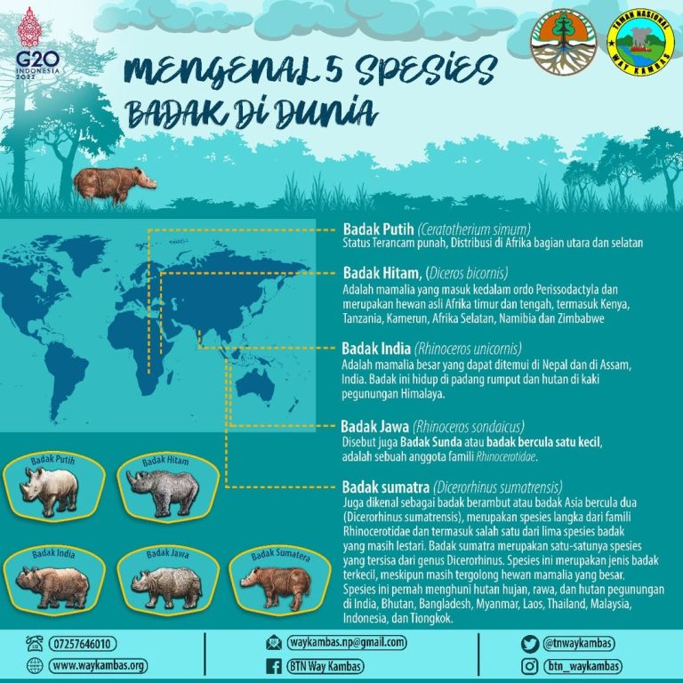 SaveClip.App_275916956_677336916654475_1580291557180062180_n