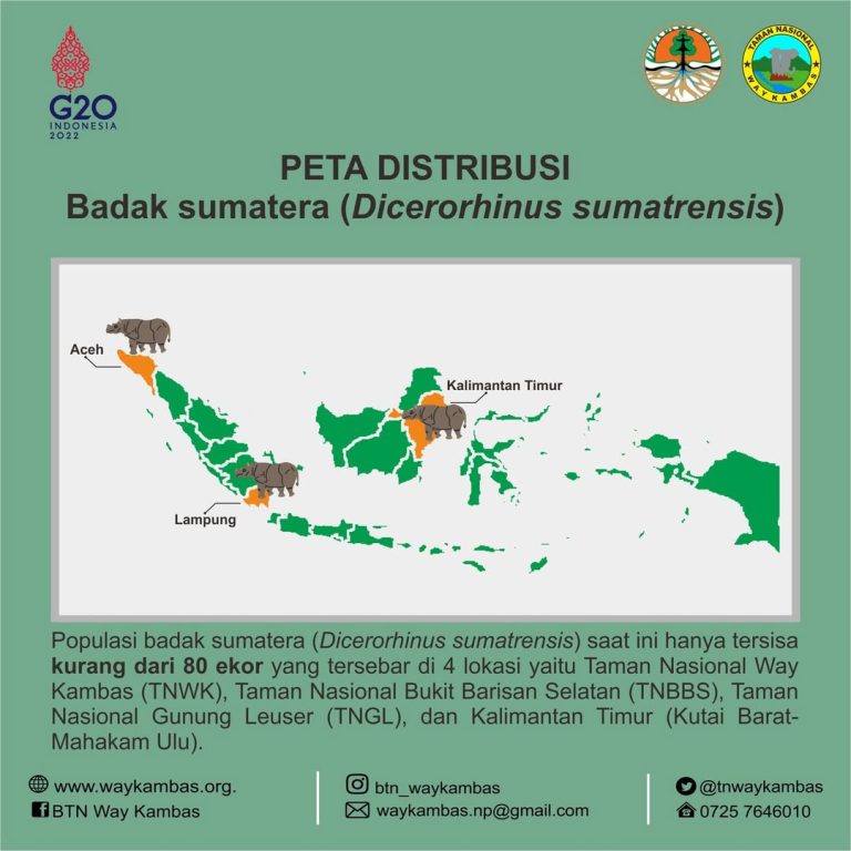 SaveClip.App_276072396_452873906586072_1596972880985831465_n