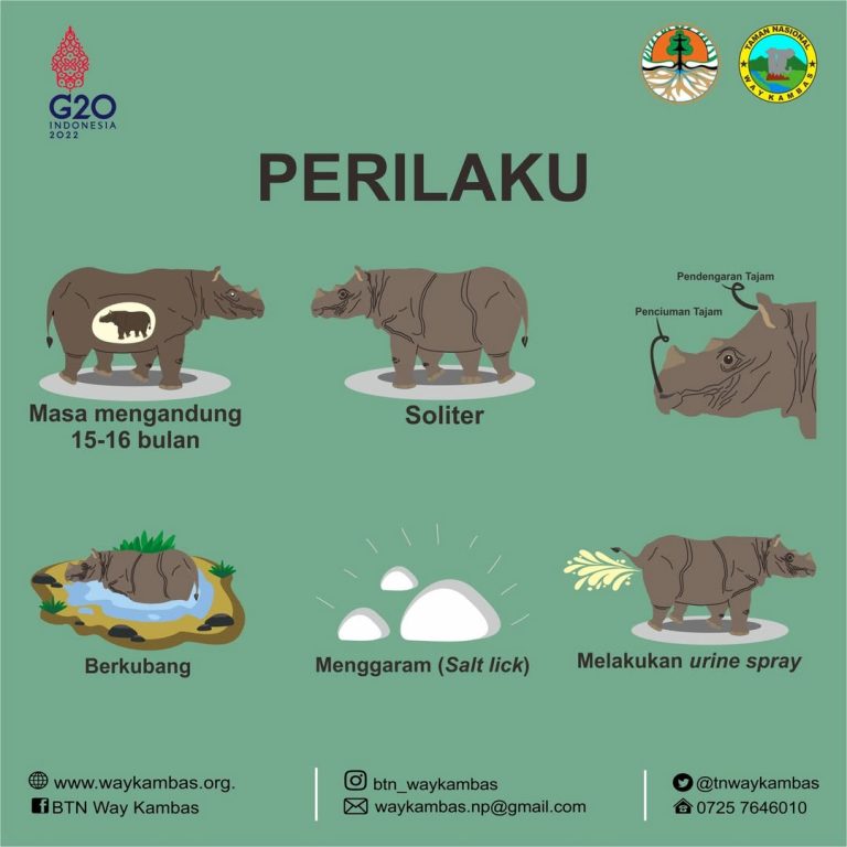 SaveClip.App_276138497_4899103663505182_121274332907454201_n