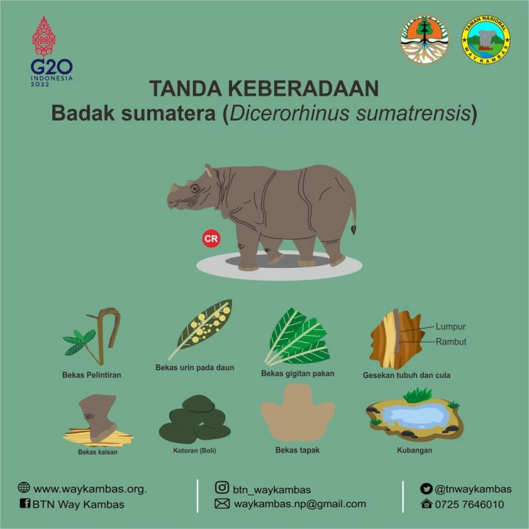 SaveClip.App_276979403_673755220530297_8424020389648024650_n