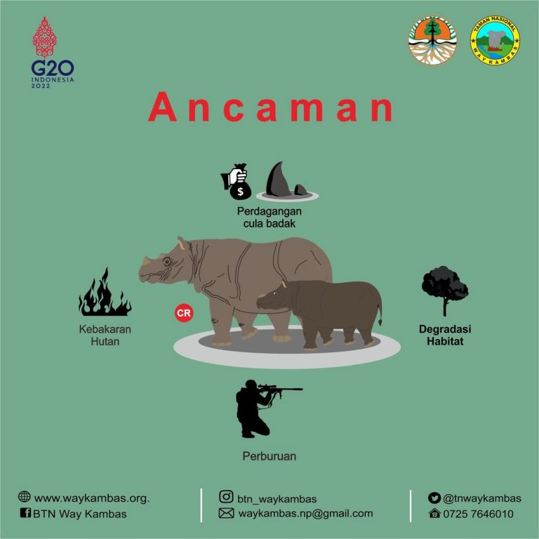 SaveClip.App_277083186_753916028908560_7781865469053729157_n