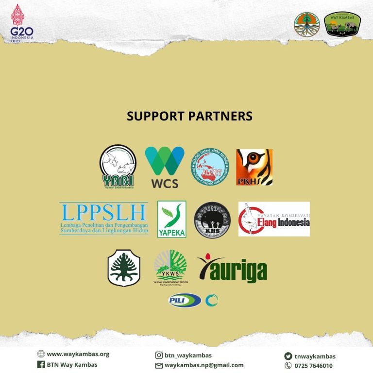 SaveClip.App_297090504_450182113648514_4076137047827980566_n