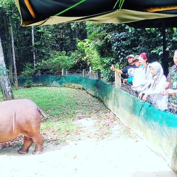 SaveClip.App_30077981_233952114013586_5993524821734981632_n