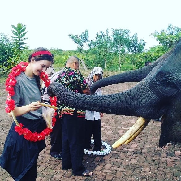 SaveClip.App_30087783_1796625957026713_6367948087641505792_n