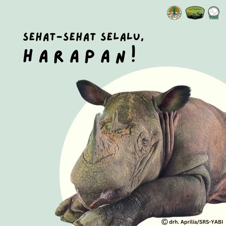 SaveClip.App_313315809_3347964458812361_7735097909287736866_n