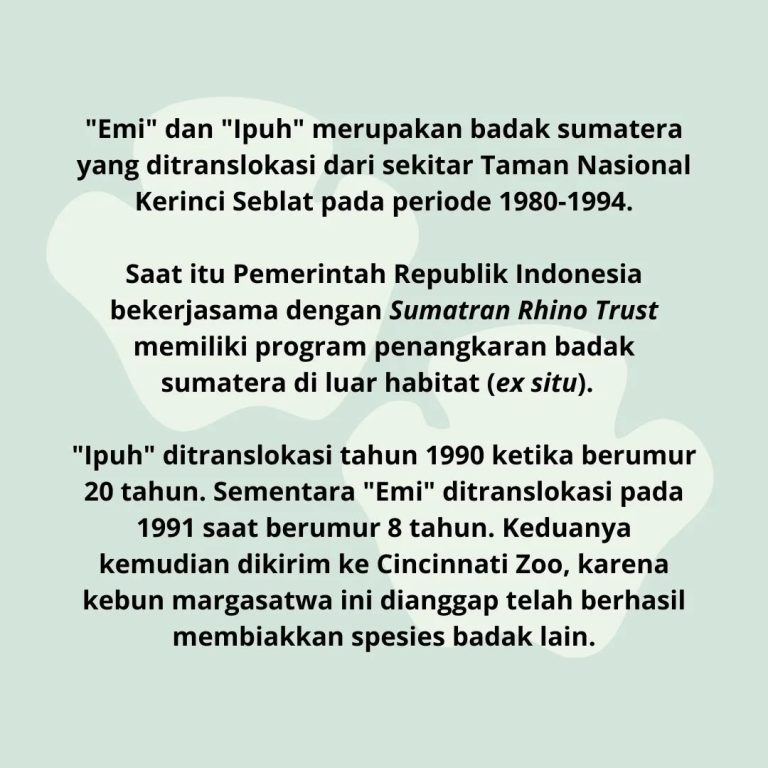 SaveClip.App_313482631_664287291749367_8915614974467717005_n