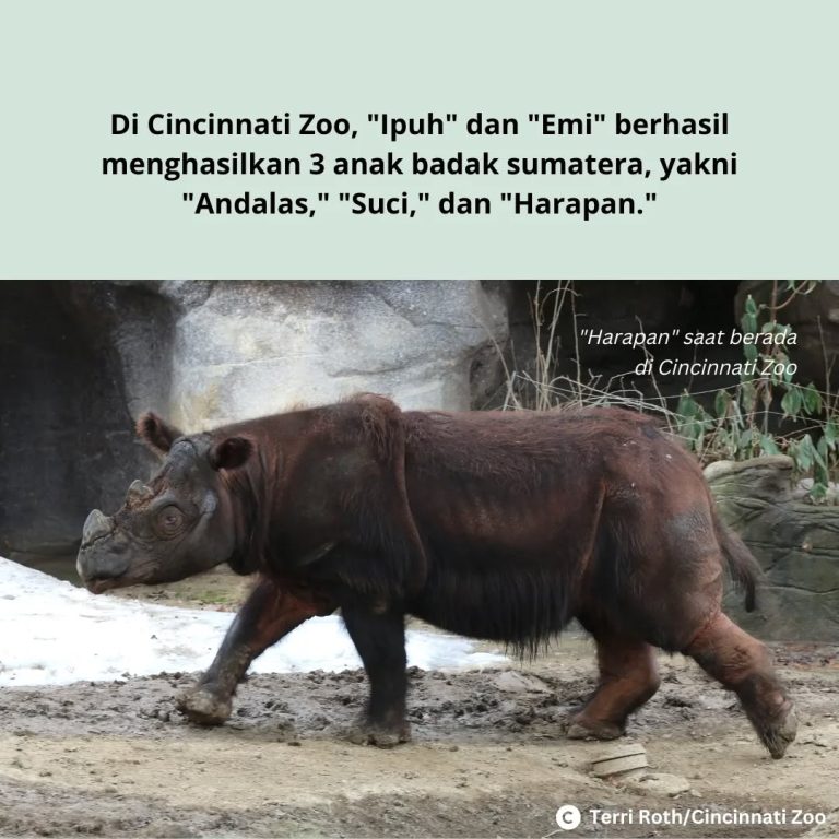 SaveClip.App_313783943_1176849669571230_1123790574697962011_n