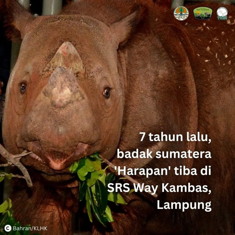 SaveClip.App_313814326_827554568391653_11937125677861779_n