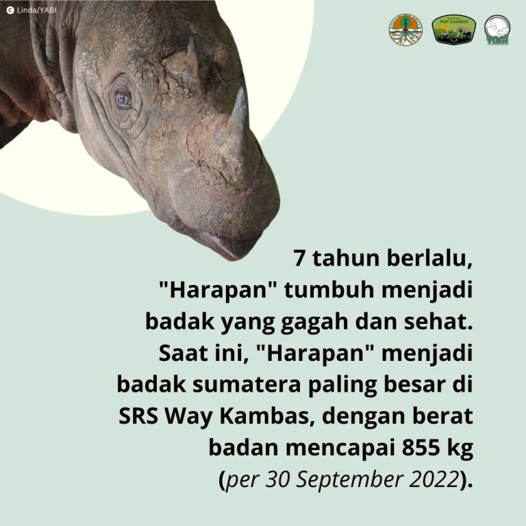 SaveClip.App_313828515_655822342586535_588892452586861672_n