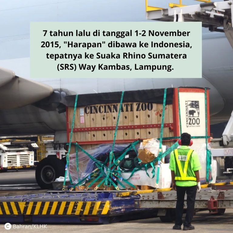 SaveClip.App_313853202_496911772469565_8508158139334218558_n