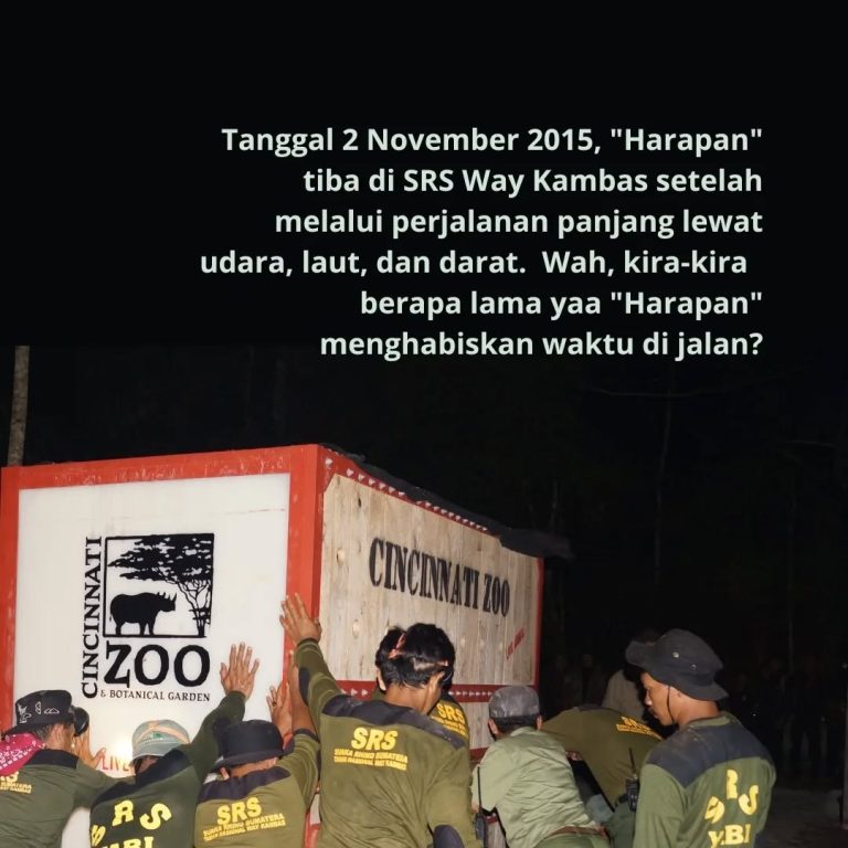 SaveClip.App_313867450_823635775624376_8389863641056062606_n