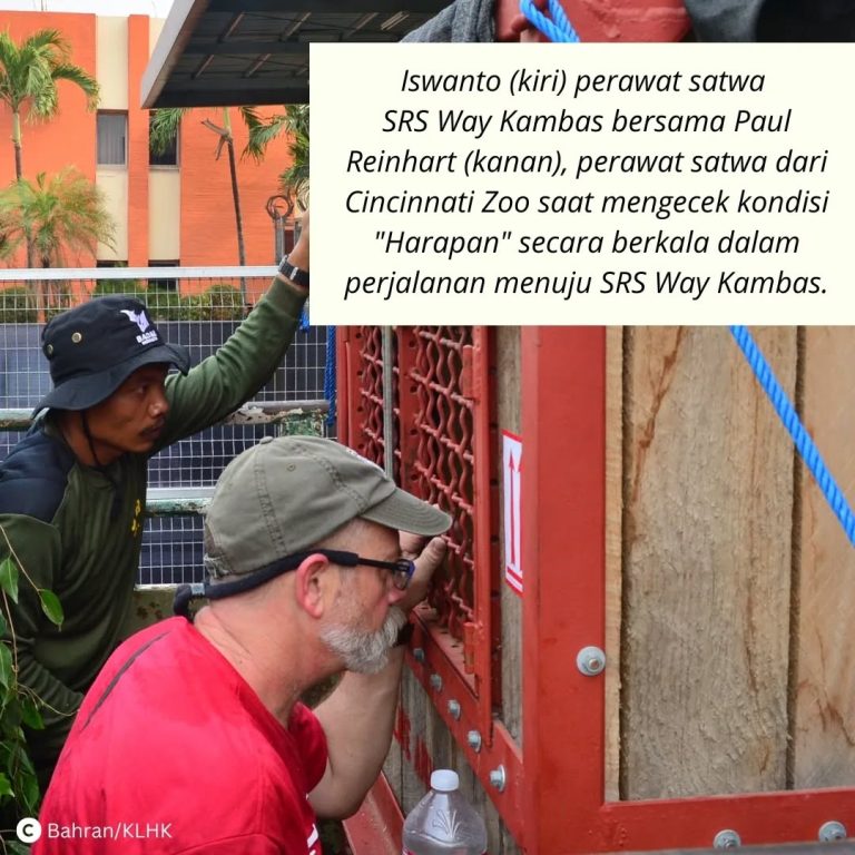 SaveClip.App_313952021_875183046984369_4253837272949039640_n