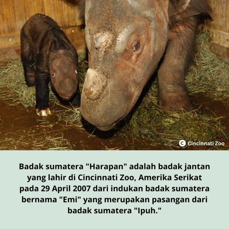 SaveClip.App_314157860_812105363359734_237128241306924858_n