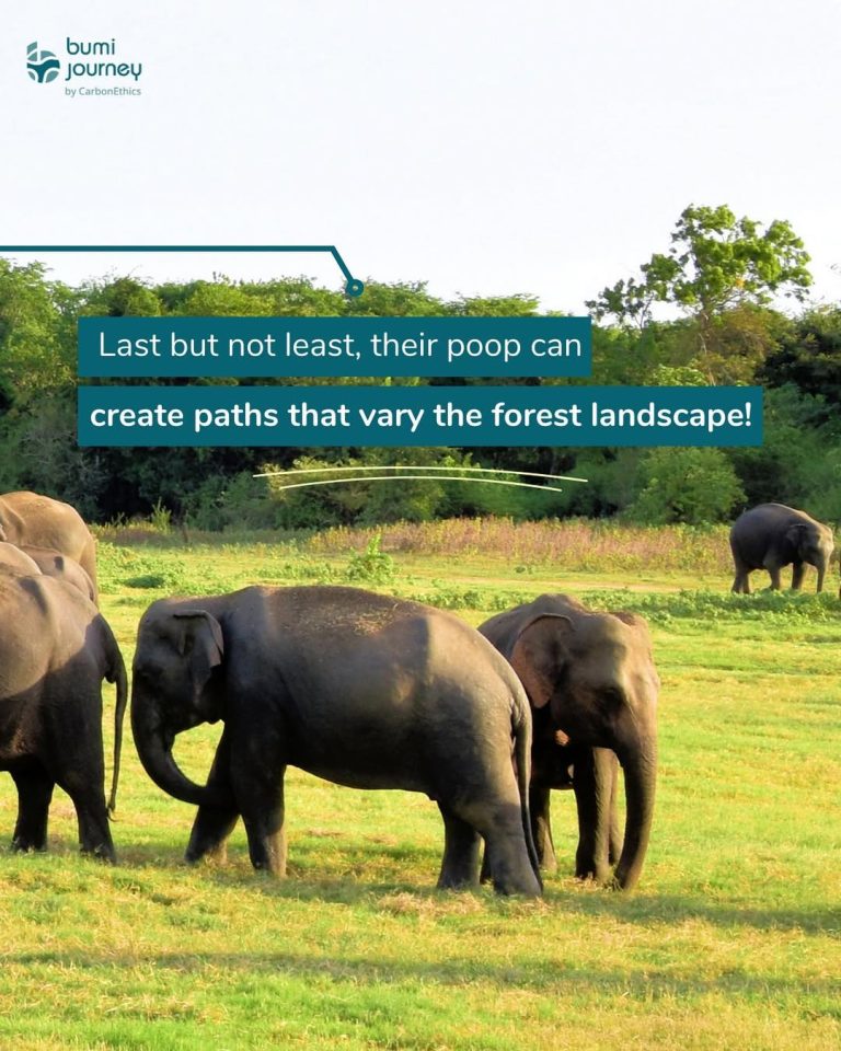 SaveClip.App_346496356_1428164091267036_2207688055787493236_n