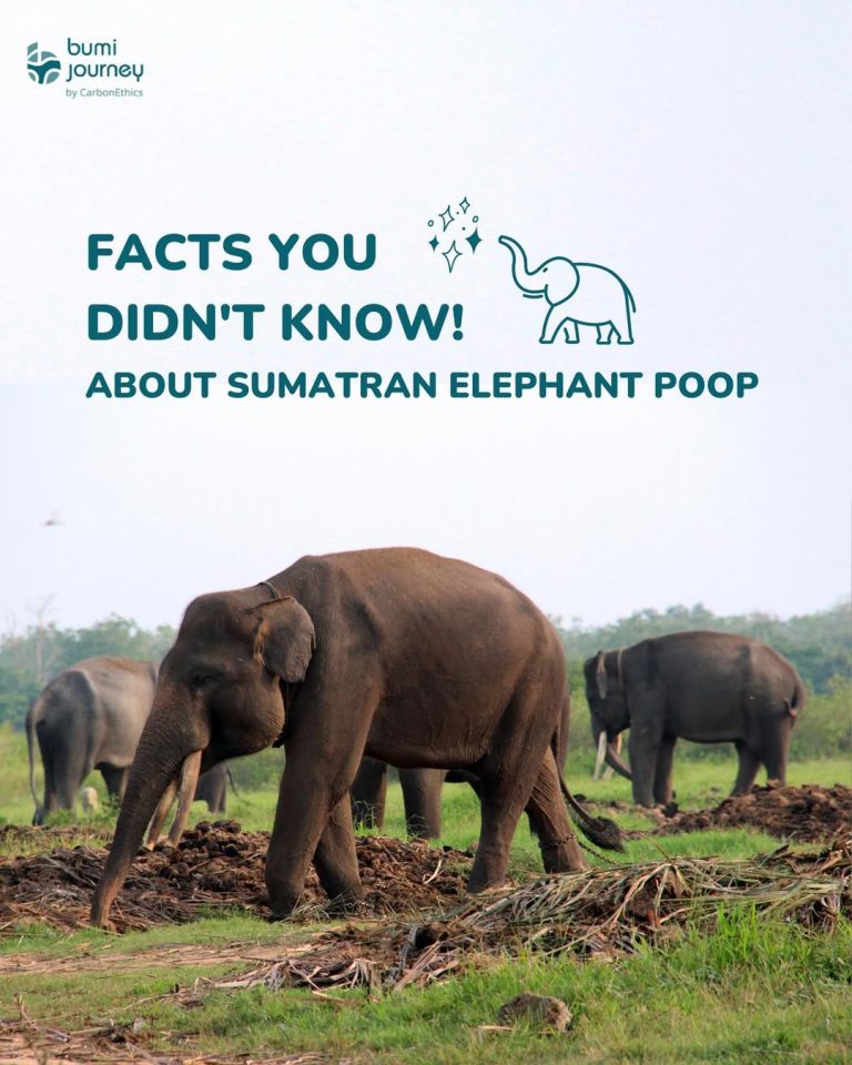 SaveClip.App_346733765_258331773353263_5491480870754384881_n