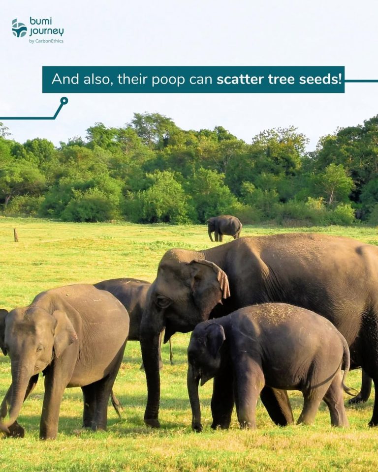 SaveClip.App_346861964_772045557956497_756314124404977416_n