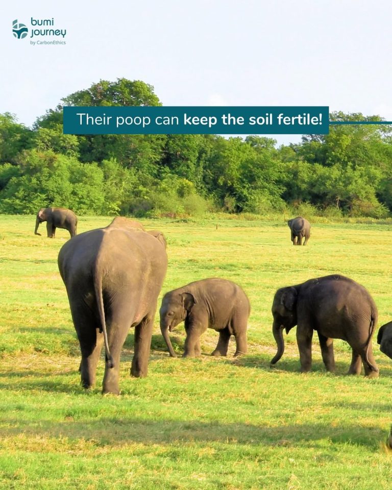 SaveClip.App_347277552_972569650419219_8069437459640304289_n